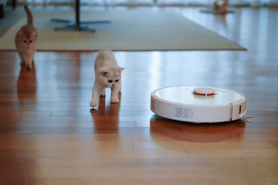 Robot hút bụi Ecovacs cho nhà có thú cưng: Giải pháp dọn lông chó mèo hiệu quả